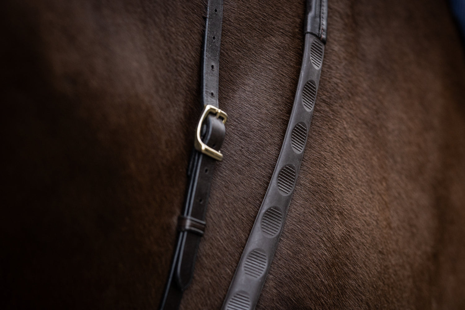 The FR Vincitore Impression Thumb Reins — The Best Grip Safety Rein We Have Ever Made