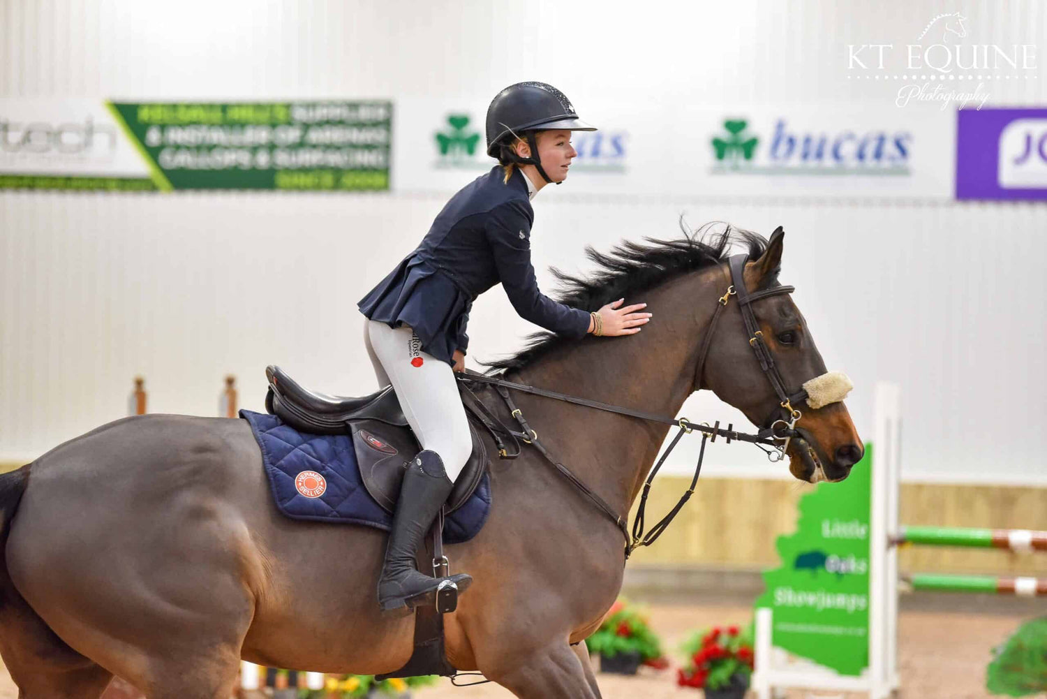 beau competing november 2024