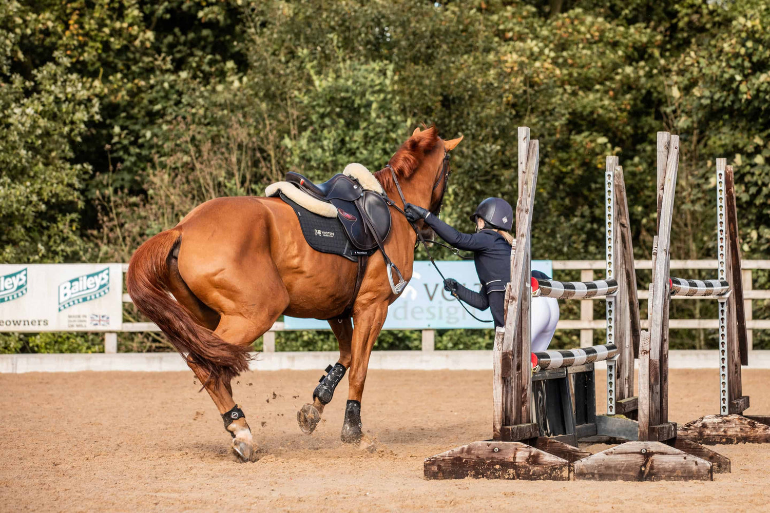 Equestrian Safety Is More Than a Hat — Are Your Reins Putting You at Risk?