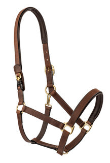 FRV Headcollar