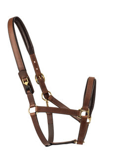 FRV Headcollar