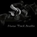 frv traders list horsetack malta